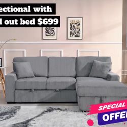 Sectional With Pull Out Bed 