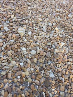 Free gravel garden