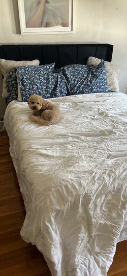 Queen Size Mattress and Bed Frame