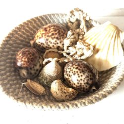 Assorted shells in a woven basket nautical