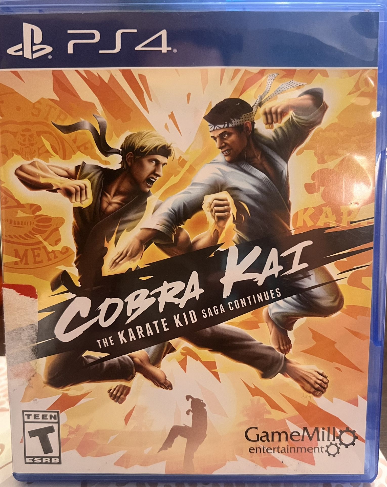 PS4 COBRA KAI