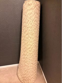 5x7 Area Rug