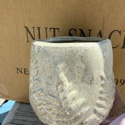 20 Pcs Set Flowers Plants Pot 
