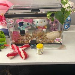 10 Gallon Tank 