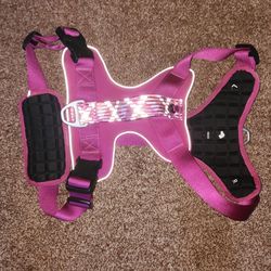 Dog harness