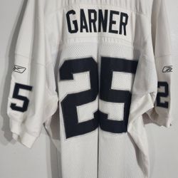 Vintage Oakland Riders Jersey 
