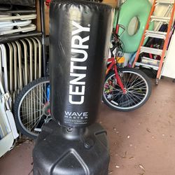 Century Wavemaster punching Bag! 