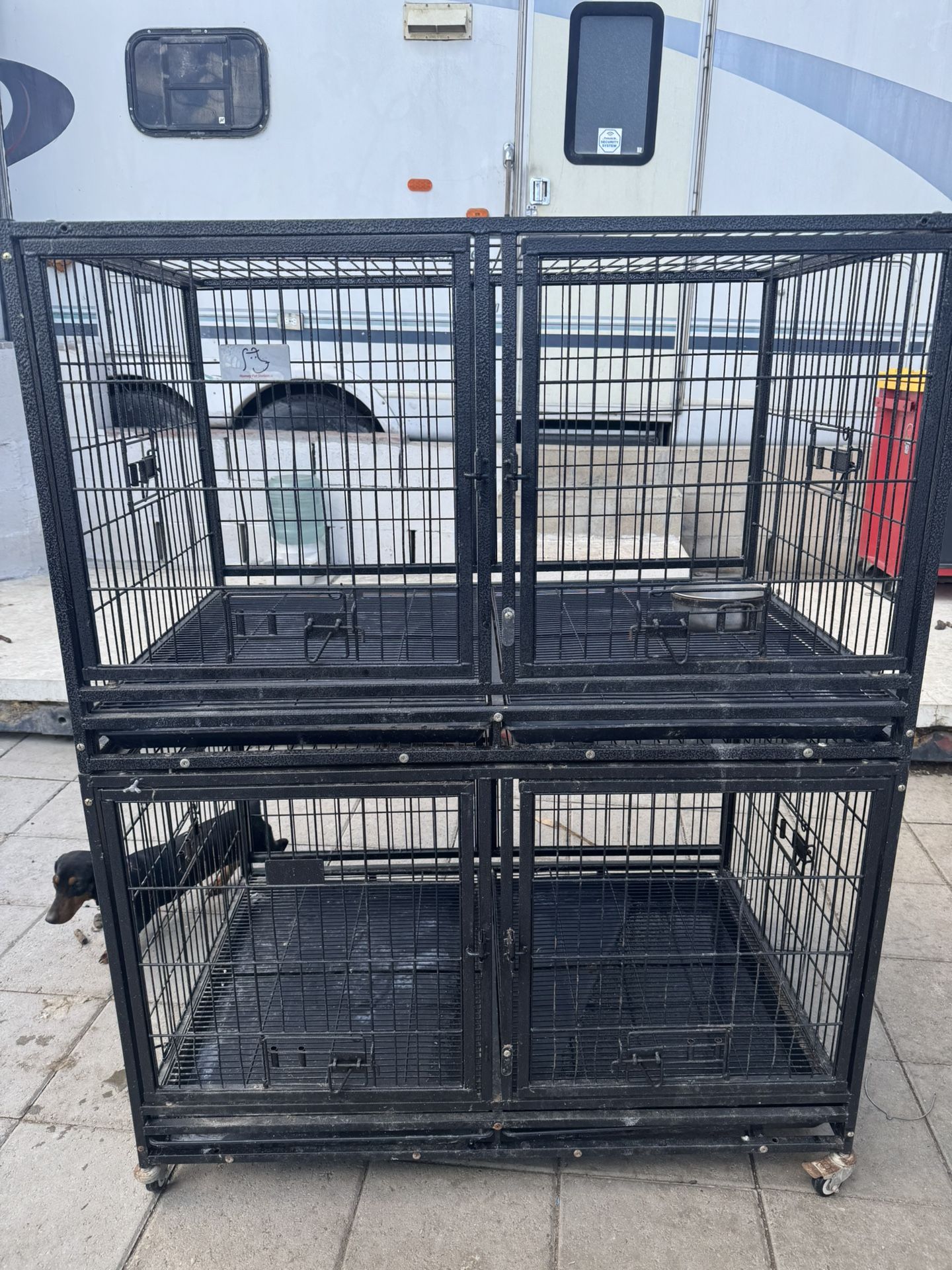 Dog Kennel Crate