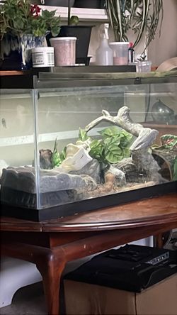 Reptile tank
