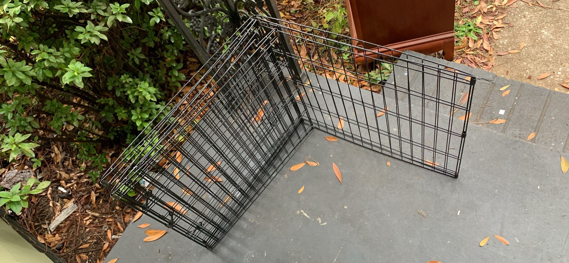 Dog Pen