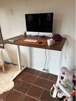 Electric Standing Desk – 48” x 30” Walnut Top – $300