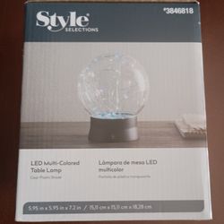 Light. Lamp. Firefly Lamp. New In Box. LED Table Lamp.  Unique.