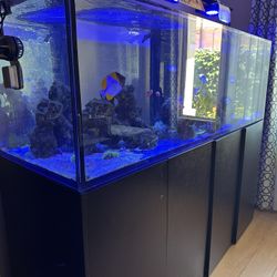 200 Gallon Salt Water Aquarium 