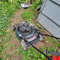 Working Lawn Mower