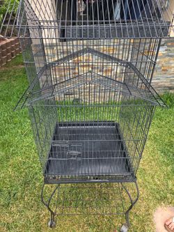 Bird Cage