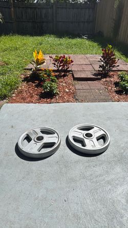 Weider 25 lb Olympic Weight Plates – Pair