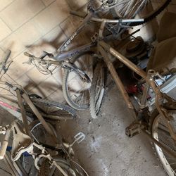 Bicycles 