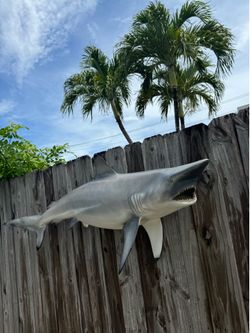 Shark Wall Mount 5ft Length