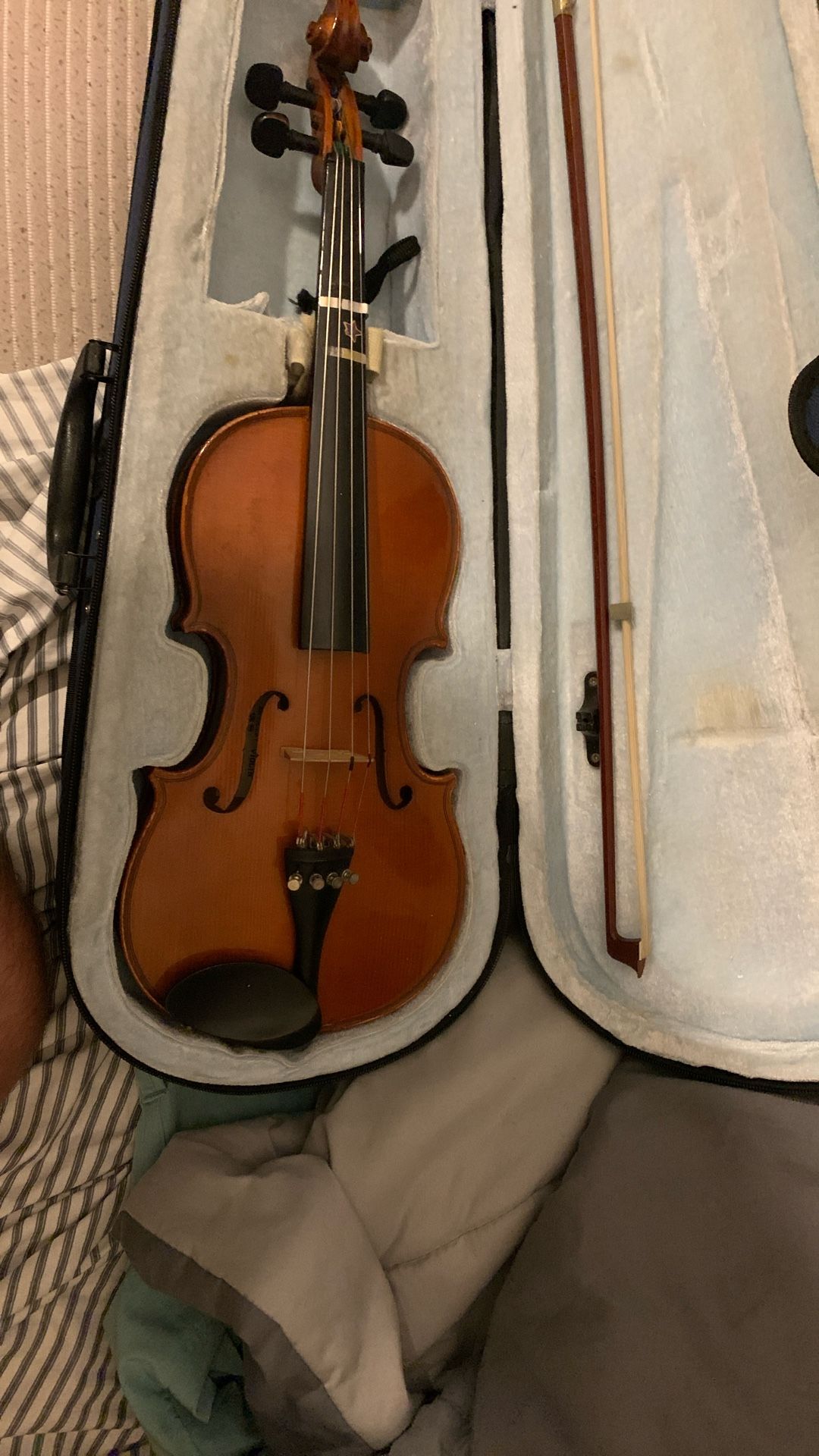Violin