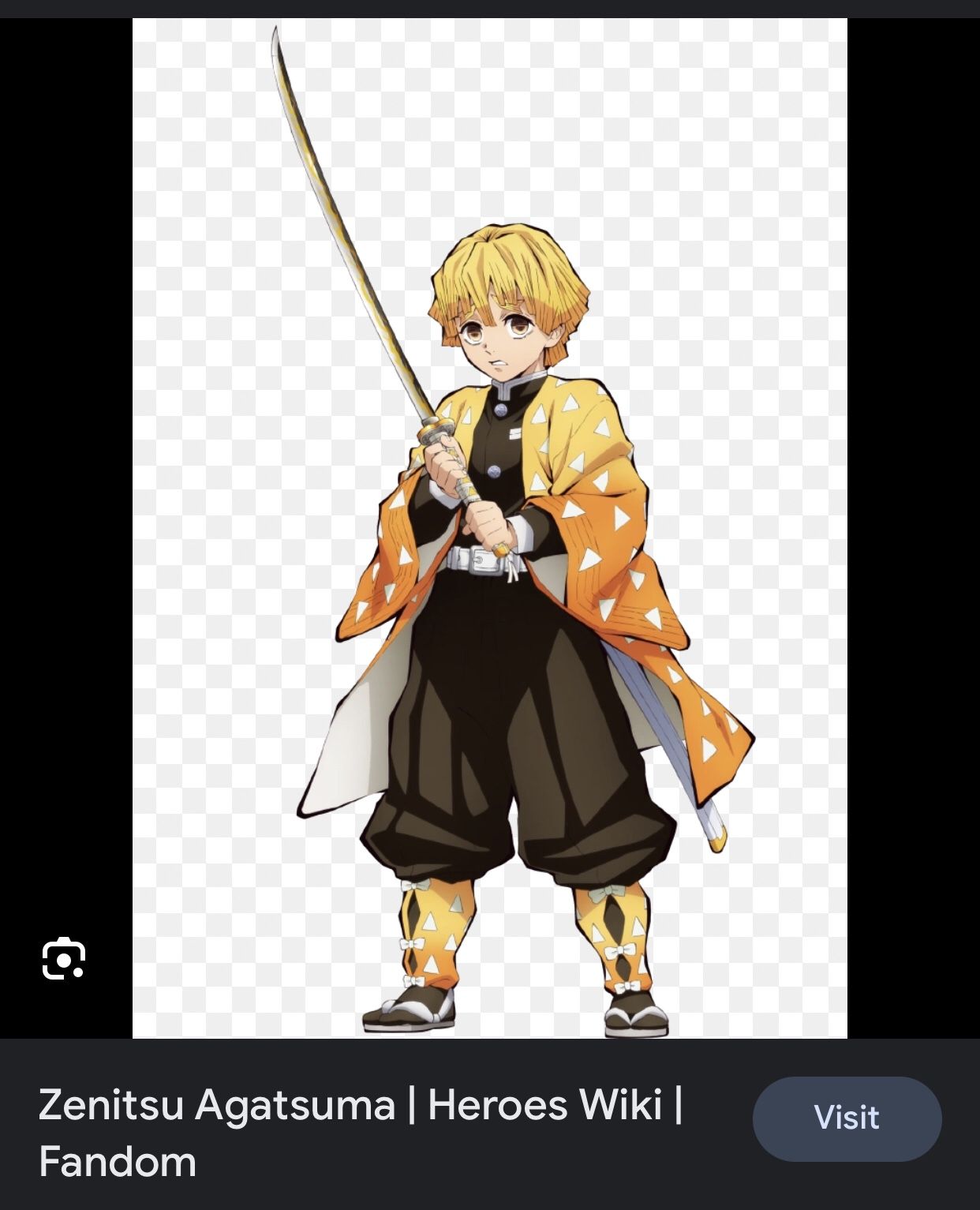 Demons Slayer Costume