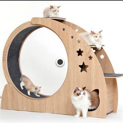 Cat Wheel/Treadmill