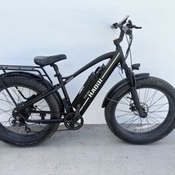  Fat Tire E Bike/Electric Bike