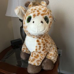 Stuffed Animal 