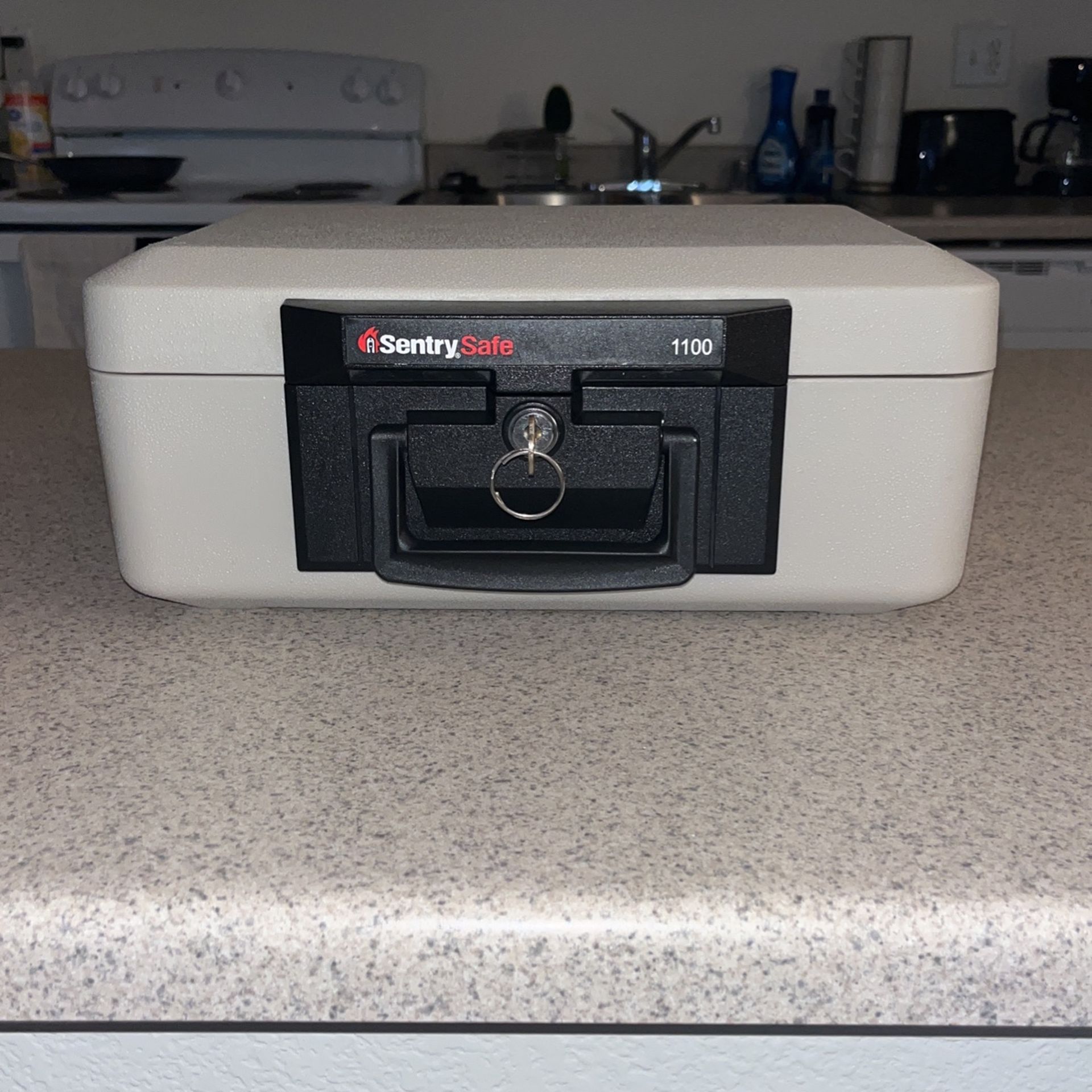 SentrySafe 1100 Fire Chest