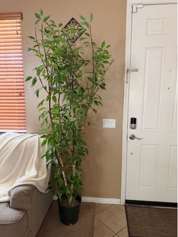 Fake plant