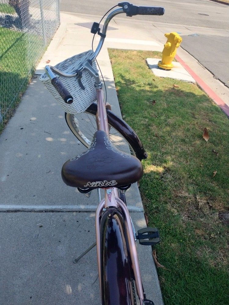 Beach Cruiser