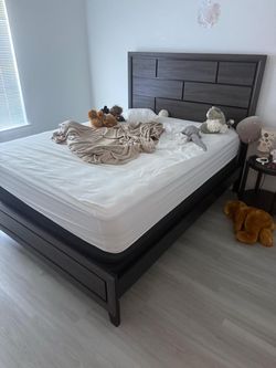 Moving Sale – Tempo Collection Queen Bed – No Mattress