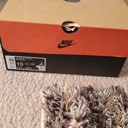 Jordan 12 THE FLU