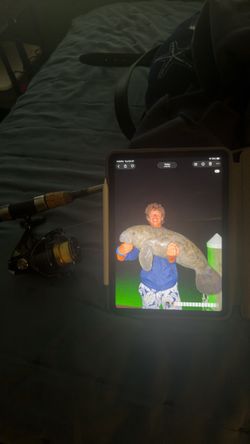 Rod and reel