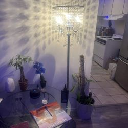 Crystal Lights Working