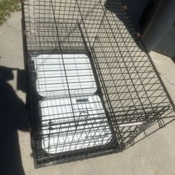Dog Cage 