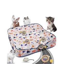 Interactive Cat Toys for Indoor Cats,Automatic Moving Cat Ball in Pouch,Chirping