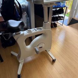 Desk Bike