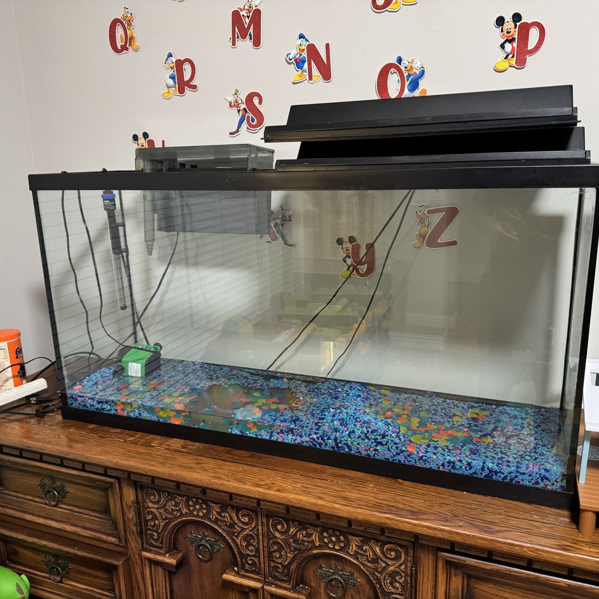 Fish Tank