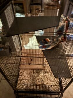 Multi-Level Small Animal Wire Cage