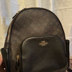 Tous Crossbody and Coach Backpack 