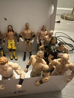 WWE/UFC action figures
