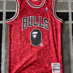 Chicago Bulls Bape 