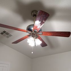 Fan 