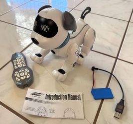 Remote Control Robot Dog (with volume control 😉)