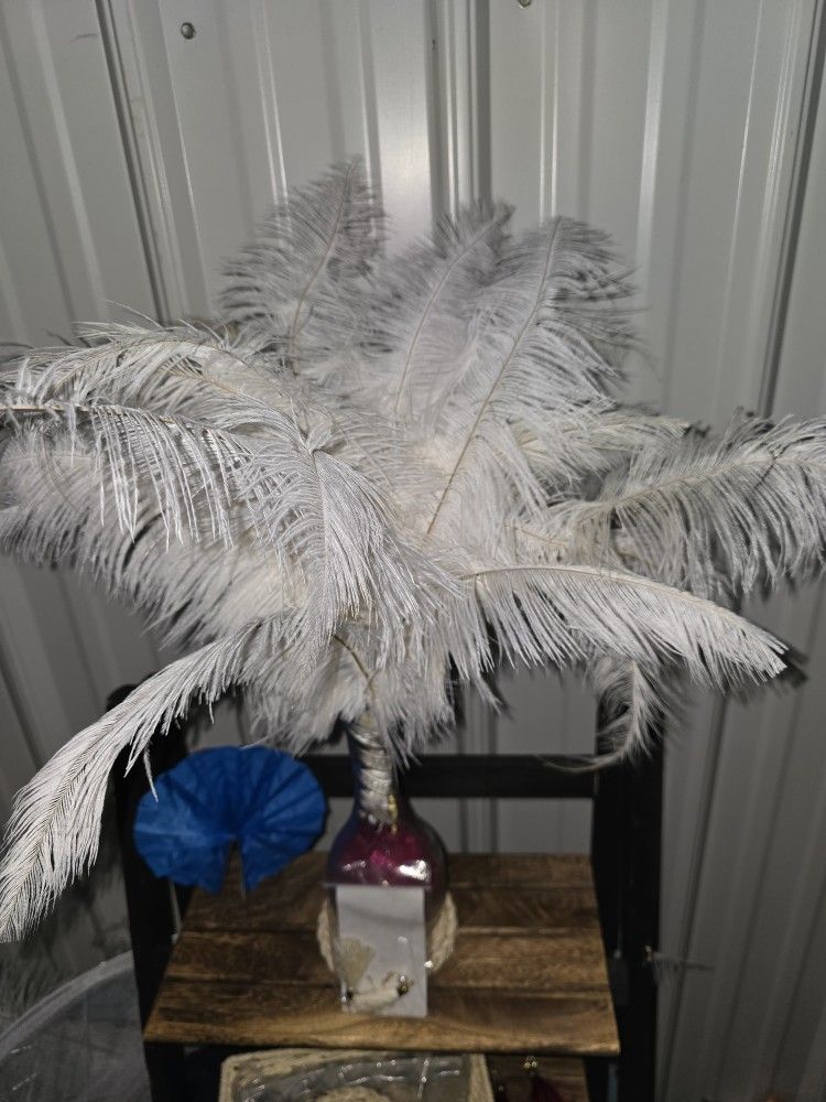 Feathers