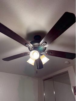 Fan