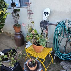 SalE Sale Today!!! Open Till 7pm !! Everything Is For Sale!!!!