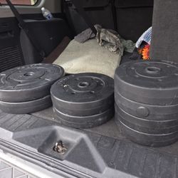 Weights 120lbs 