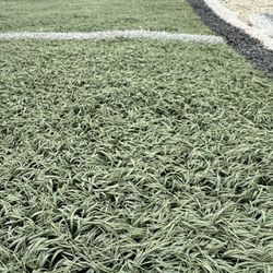 LIGHTWEIGHT USED TURF ROLLS - Artificial Grass/Synthetic Turf  (200-300 lbs)
