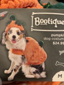 Dog Halloween Costume pumpkin